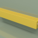 3D modeli Konvektör - Aura Slim Basic (140x1000x130, RAL 1012) - önizleme
