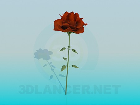 3D modeli Çiçek - önizleme