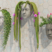 Kopfpflanzer 3D-Modell kaufen - Rendern