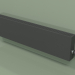 3D modeli Konvektör - Aura Slim Basic (240x1000x80, RAL 9005) - önizleme