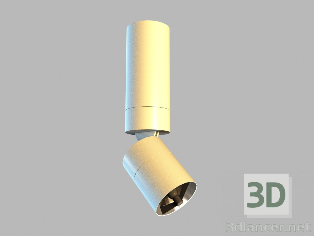 3D modeli Tavan Lambası 8981 - önizleme