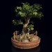 3d Bonsai tree model buy - render