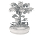 3d деревце Бонсай модель купити - зображення