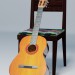 3d model Guitarra - vista previa