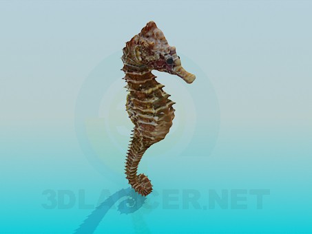 3D modeli Deniz atı - önizleme
