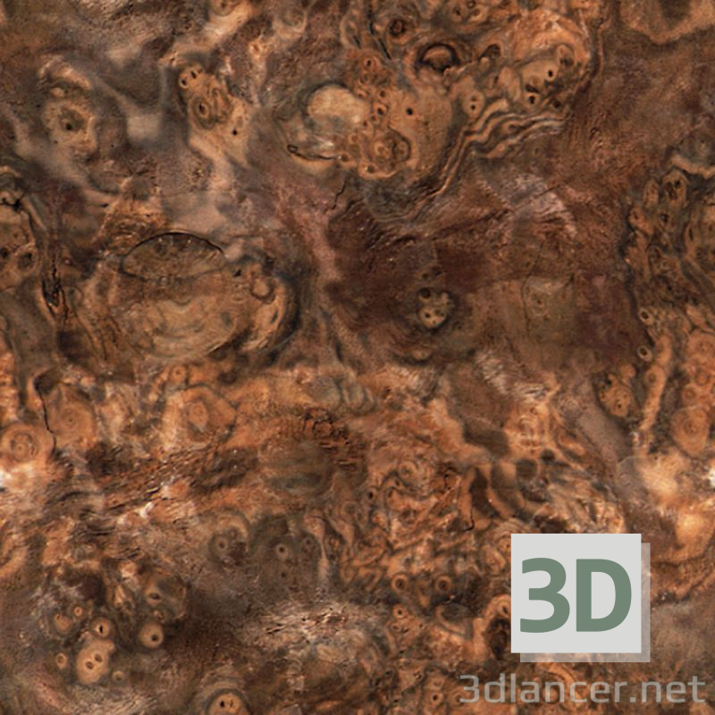 Texture walnut root 7 free download - image