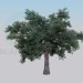 Modelo 3d Árvore de carvalho - preview