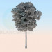 modello 3D albero di cenere - anteprima