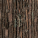 Trama di corteccia di pino acquistare texture per 3d max