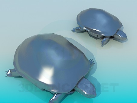 modello 3D Tartarughe - anteprima