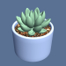 modèle 3D Succulentes en pot. - preview