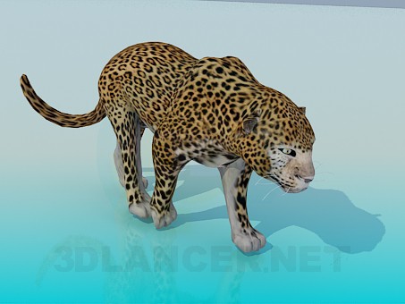 Modelo 3d Leopardo - preview