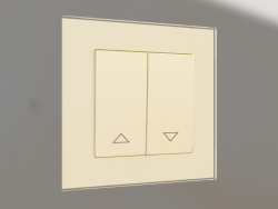 Blinds switch (champagne corrugated)