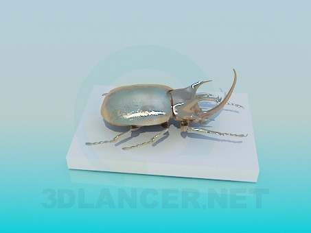3D Modell Geschenk-Käfer - Vorschau