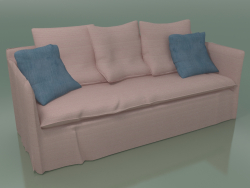 Canapé avec lit supplémentaire (19)