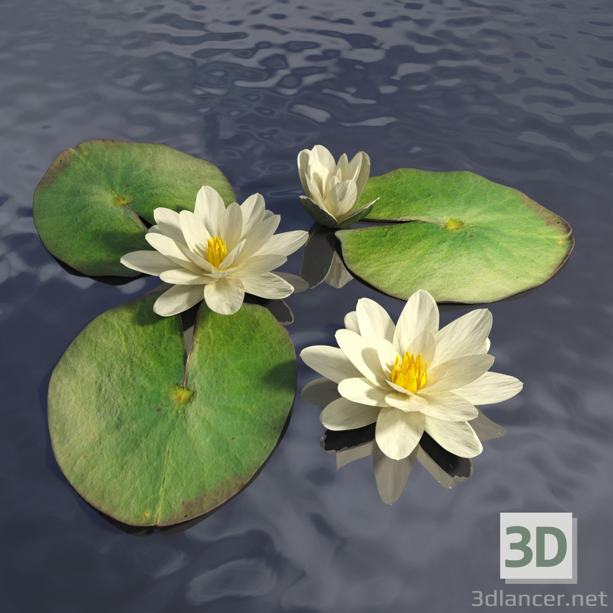 3D Lilia Nehri modeli satın - render