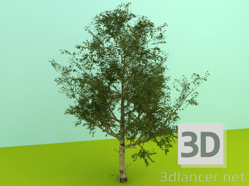 3d model trees - preview