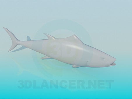 modello 3D Pesce - anteprima