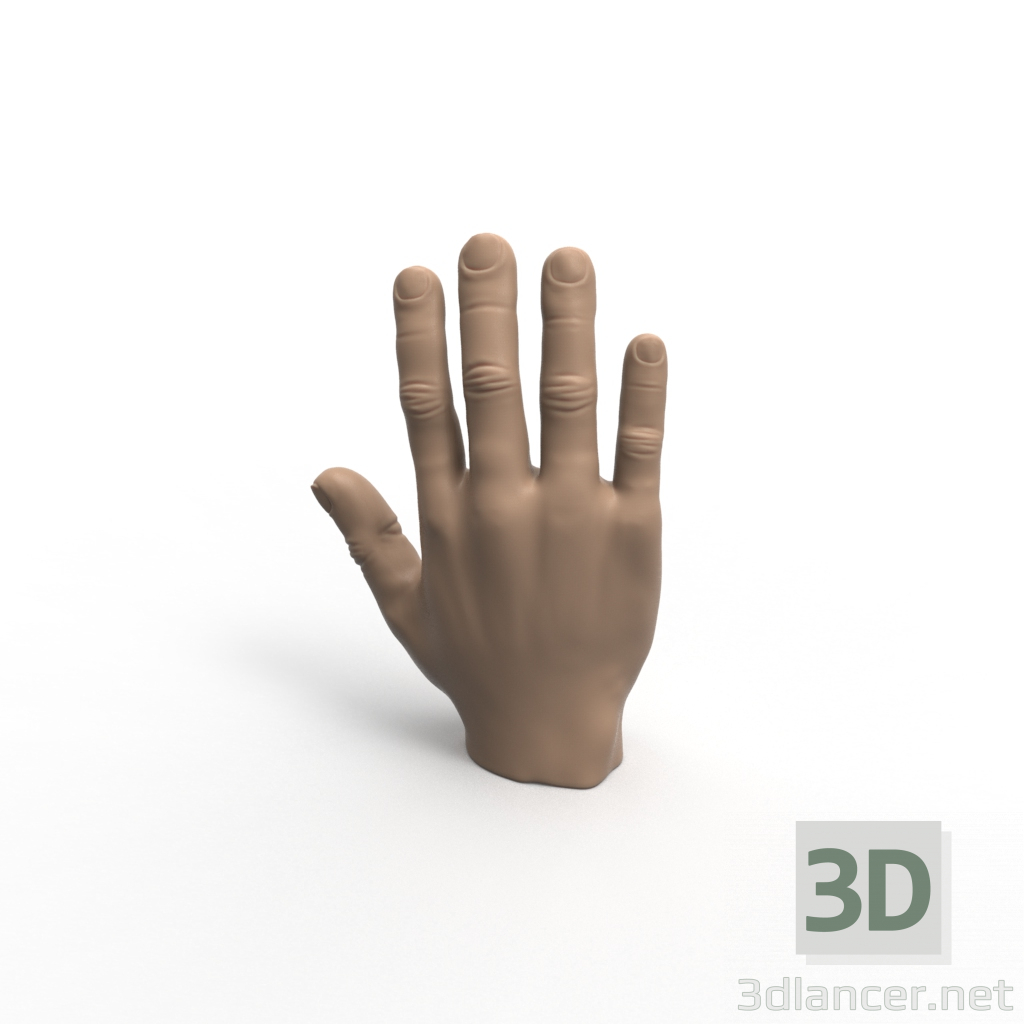 modello 3D mano - anteprima