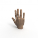 3d model Hand - preview