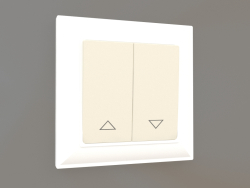 Blinds switch (ivory)