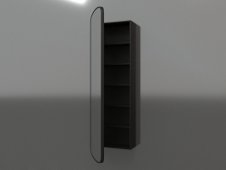Spiegel (mit halboffener Schublade) ZL 17 (460x200x1500, Holz schwarz)