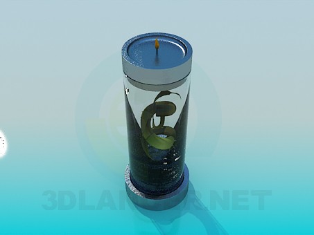 modello 3D Candeliere con un impianto all'interno - anteprima