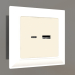 3d model USB socket type A+C (ivory) - preview