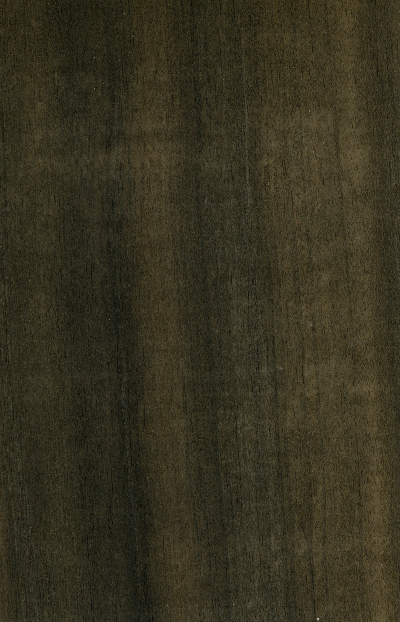 Textur Eukalyptus kostenloser Download - Bild