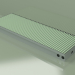3D modeli Kanal konvektörü - Aquilo F1Т (340x1000x90, RAL 6019) - önizleme