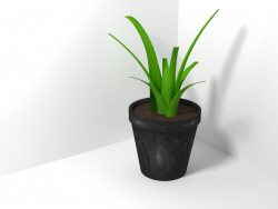 A planta em um vaso