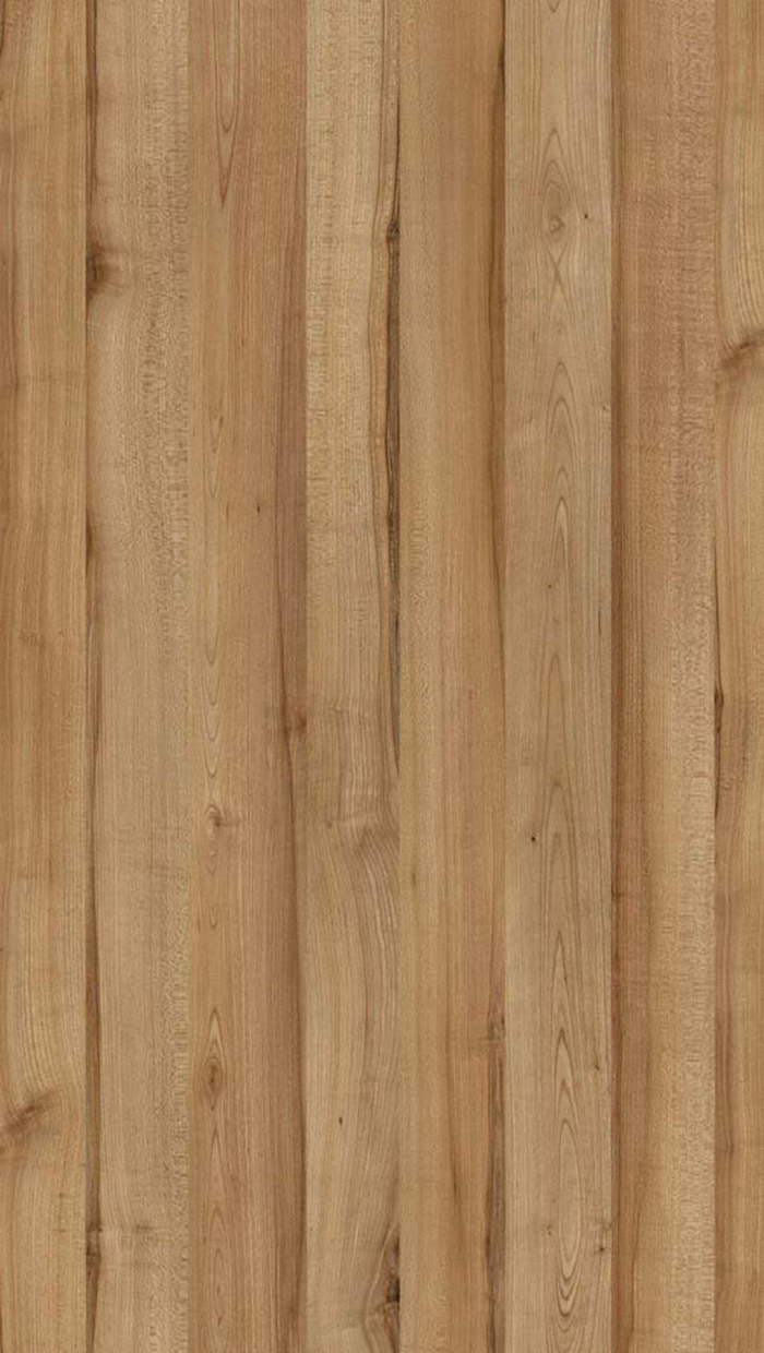 Texture Maple free download - image