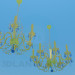 3d model Chandeliers with candelabra - preview