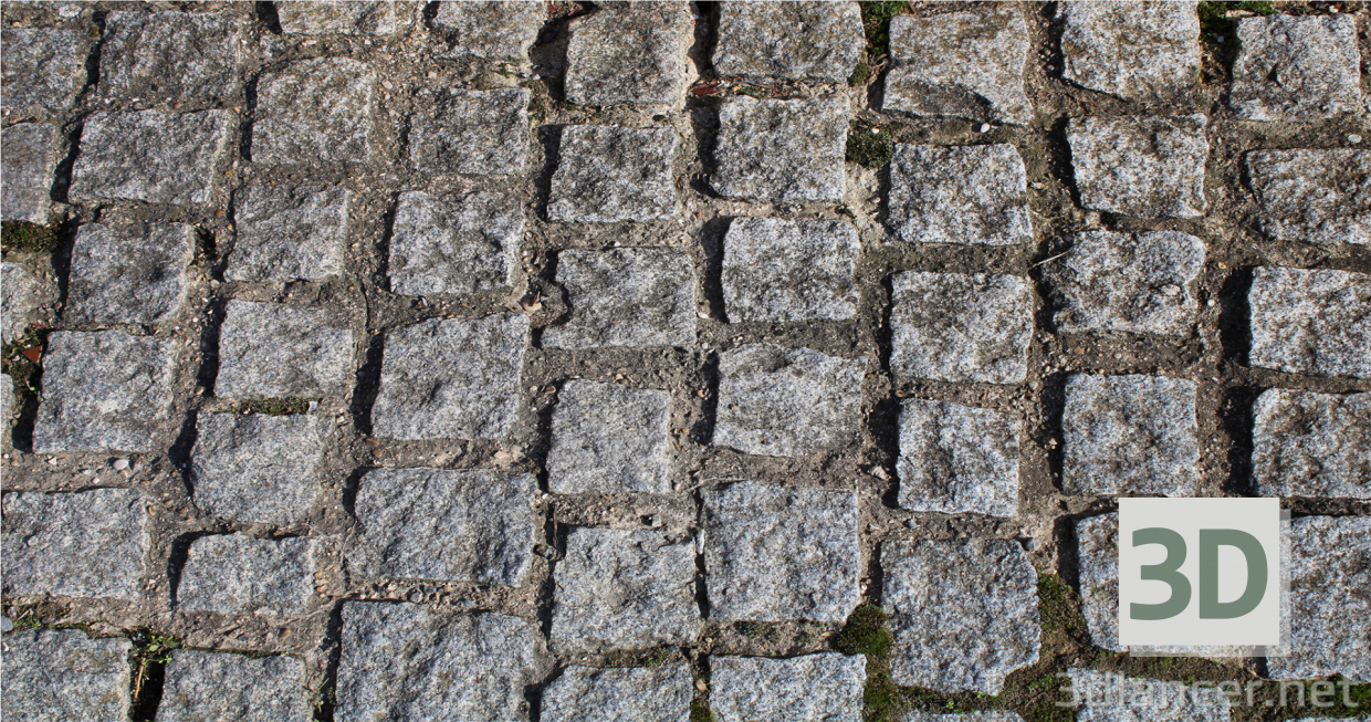 Paving stone buy texture for 3d max
