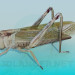 3d model Grasshopper - preview