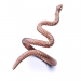 3d Snake ring model buy - render