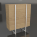3d model Bookcase (light) - preview