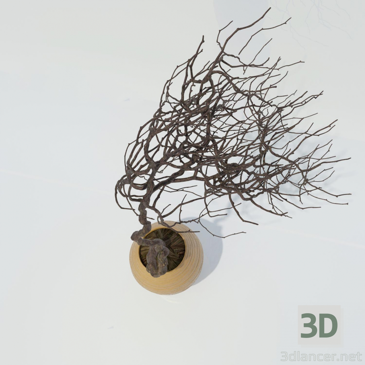 modello 3D ramo con un vaso - anteprima