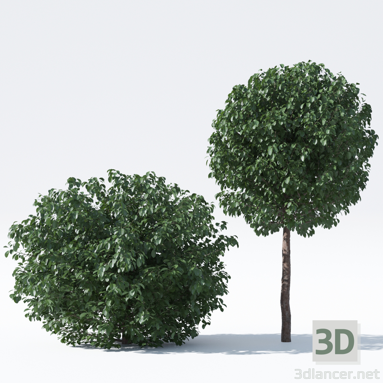 3 डी बोले आकार की गेंद पर सेब का पेड़ मॉडल खरीद - रेंडर