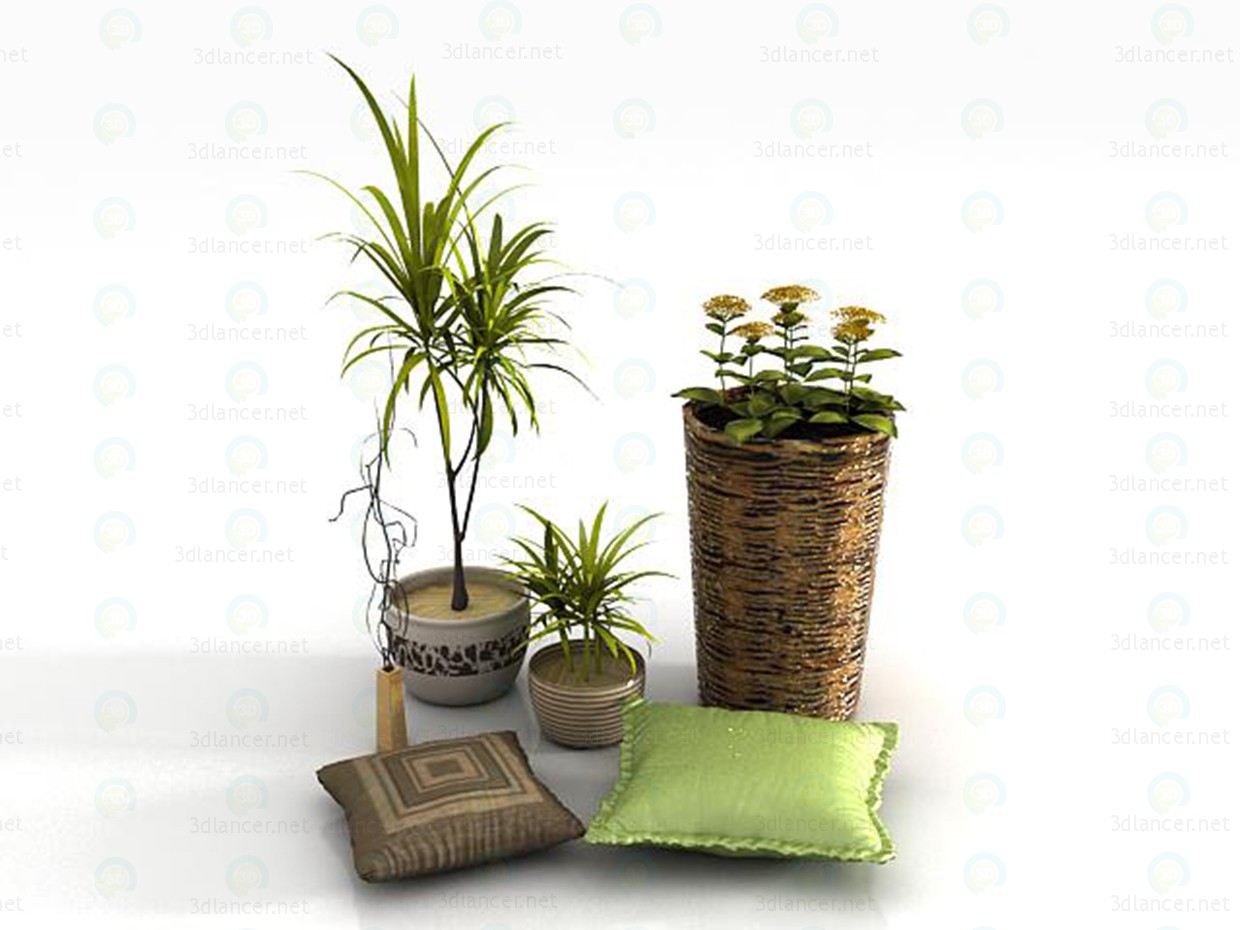 3d модель Комнатные растения + аксессуары – превью