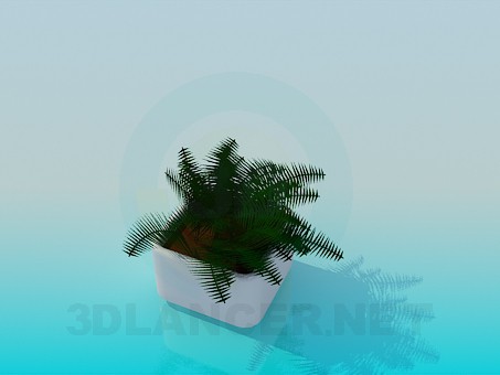 modèle 3D Fougère dans un pot - preview