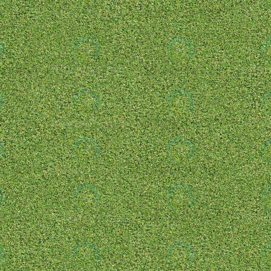 Descarga gratuita de textura hierba - imagen