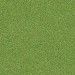 Descarga gratuita de textura hierba - imagen