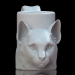 Becher - Katze 3D-Modell kaufen - Rendern