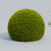 cupresus bola 3D modelo Compro - render