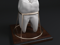 Tooth_Souvenir