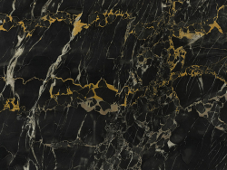Nero Portoro marble
