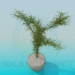 modèle 3D plante d’intérieur - preview