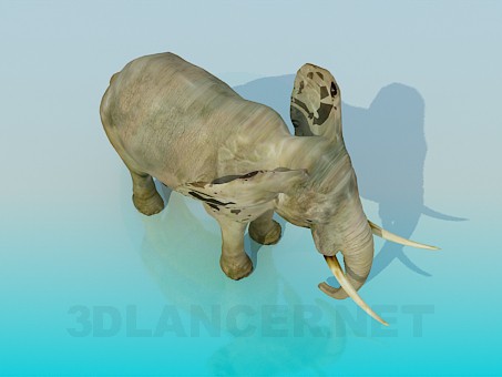 3d model Elephant - preview