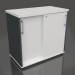3d model Cabinet with sliding doors Standard A2P04 (800x432x740) - preview